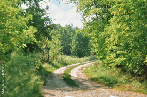 Fototapeta Naklejka Na Ścianę i Meble -  path in the forest