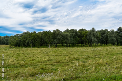 Zielona łąka,  drzewa i błękitne niebo. © Krzysztof Głowacki