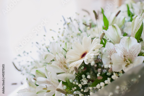 white flowers on a white background