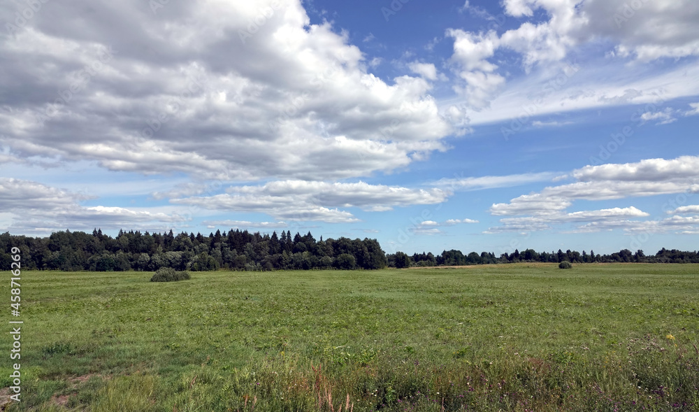 Beautiful panoramic countryside landscape with green field, mixed forest and white clouds on blue sky in the midday on summer