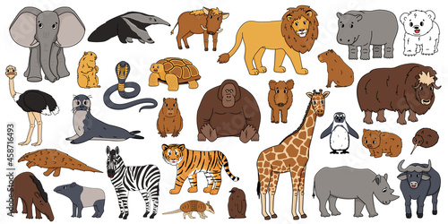 Cute vector isolated animals big set. Elephant  orangutan  monkey  lion  tiger  giraffe  hippo  rhinoceros  tapir  zebra  bear  wombat  snake  penguin  ostrich  wild boar  seal  armadillo  anteater