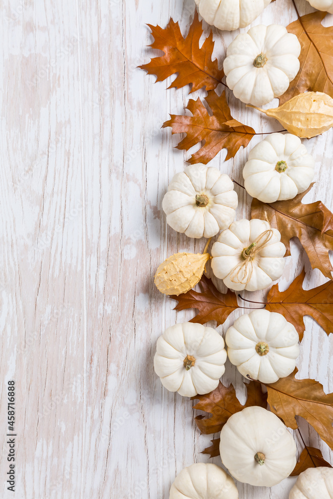 Happy thanksgiving - background with white pumpkins and autumn leaves on white Happy thanksgiving - background with white pumpkins and autumn leaves on white