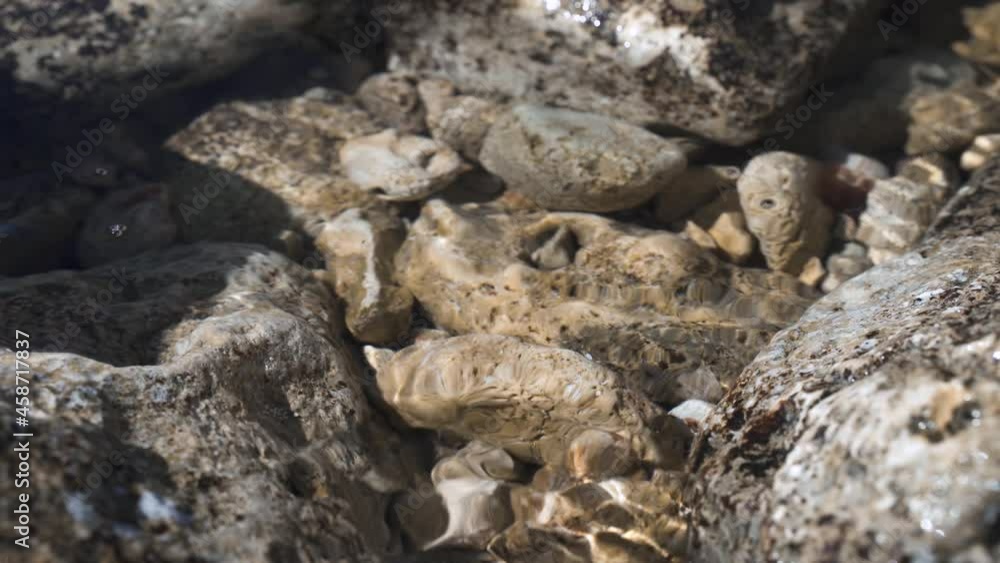 4k video. Waves wash over rocks covered with algae in the sea 4k video. Waves wash over rocks covered with algae in the sea