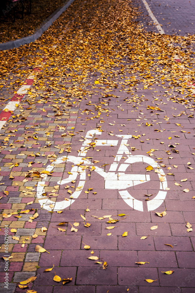 Bike path sign in the middle of the park in autumn leaves.