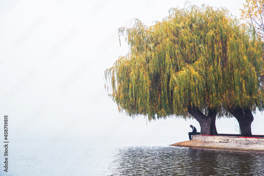 silhouette of a man reading a book under a willow on the background of a lake in the fog