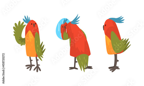 Funny Parrot Looking at Mirrow and Waving Wing Vector Set