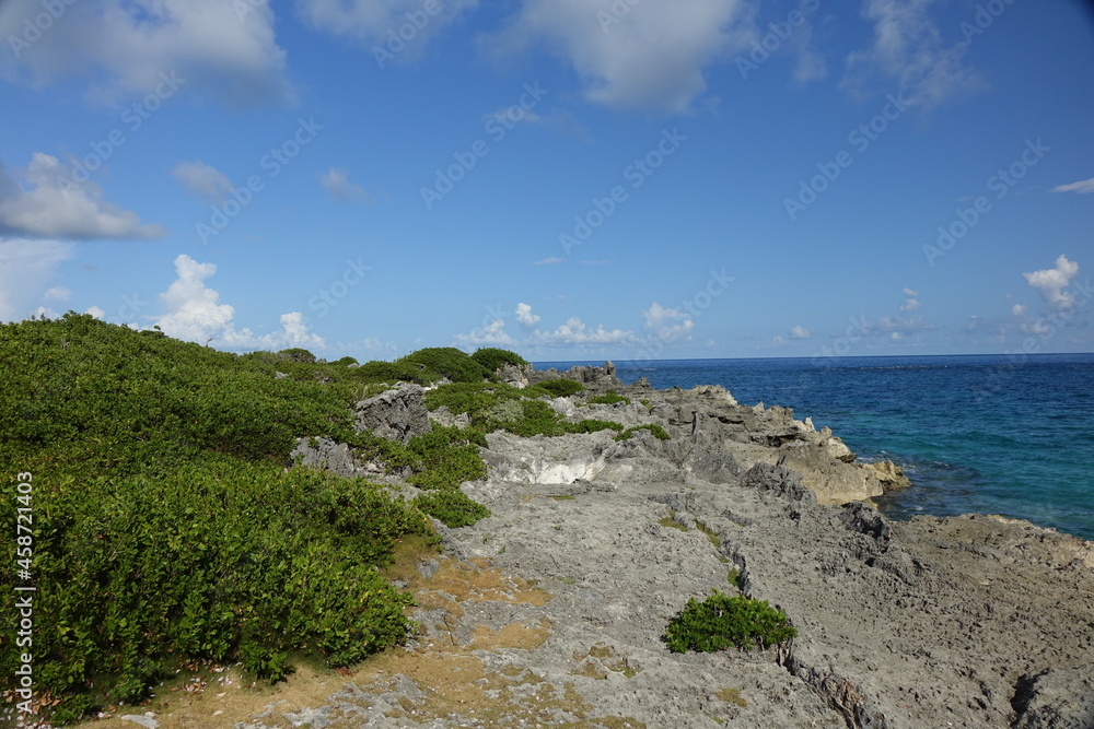 Rock formation on tropical Caribbean coast, Bemuda
