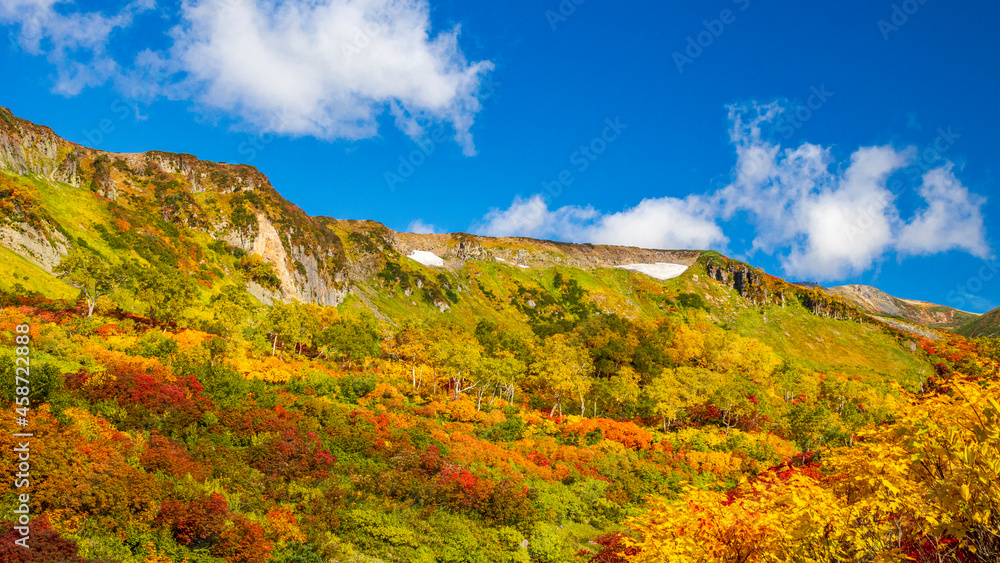 大雪山の紅葉　大雪高原沼