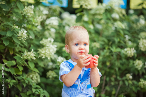 Yummy peach and little funny toddler in nature. First feeding of child with peach...