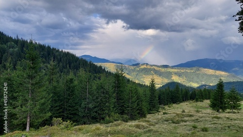 rainbow. High-altitude landscape with forest and colorful rainbow in the sky