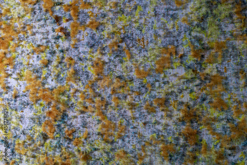 Mold or mildew growing on the surface. Abstract background with soft focus