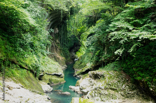 Georgia, mountain river, view from above, around green forest.