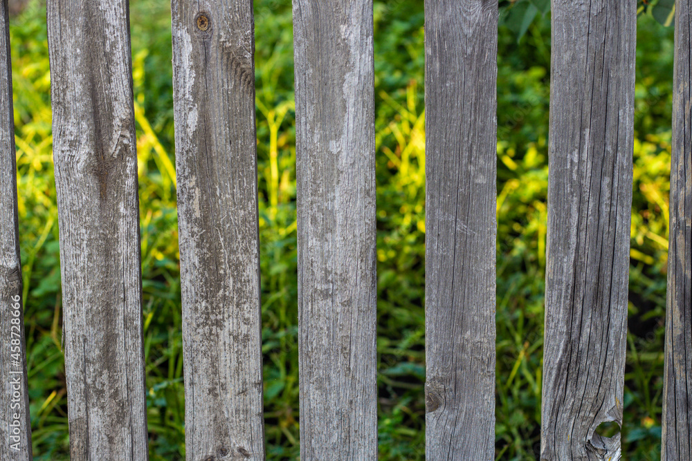 Wooden gray fence with vertical boards and greenery behind it in the background. Background and texture of a homemade fence. High quality photo Wooden gray fence with vertical boards and greenery behind it in the background. Background and texture of a homemade fence. High quality photo