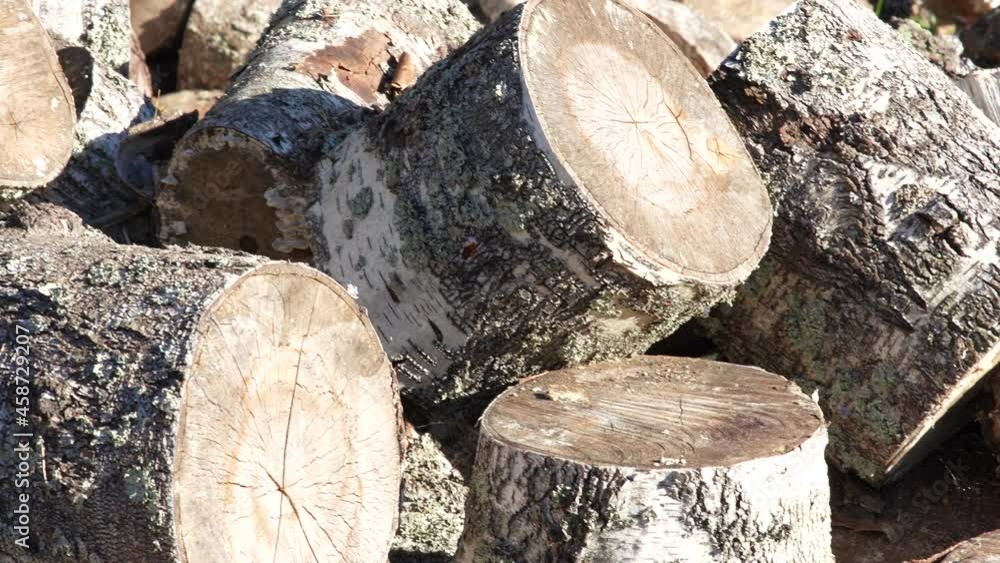 Preparation of firewood for the winter for the stove and bath. Pile of wood, a view of huge stacks of logs. Rural life. Preparation of firewood for the winter for the stove and bath. Pile of wood, a view of huge stacks of logs. Rural life.