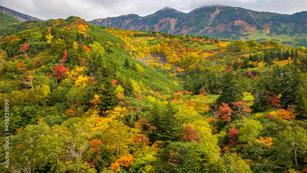 十勝岳温泉から見る紅葉の絶景
