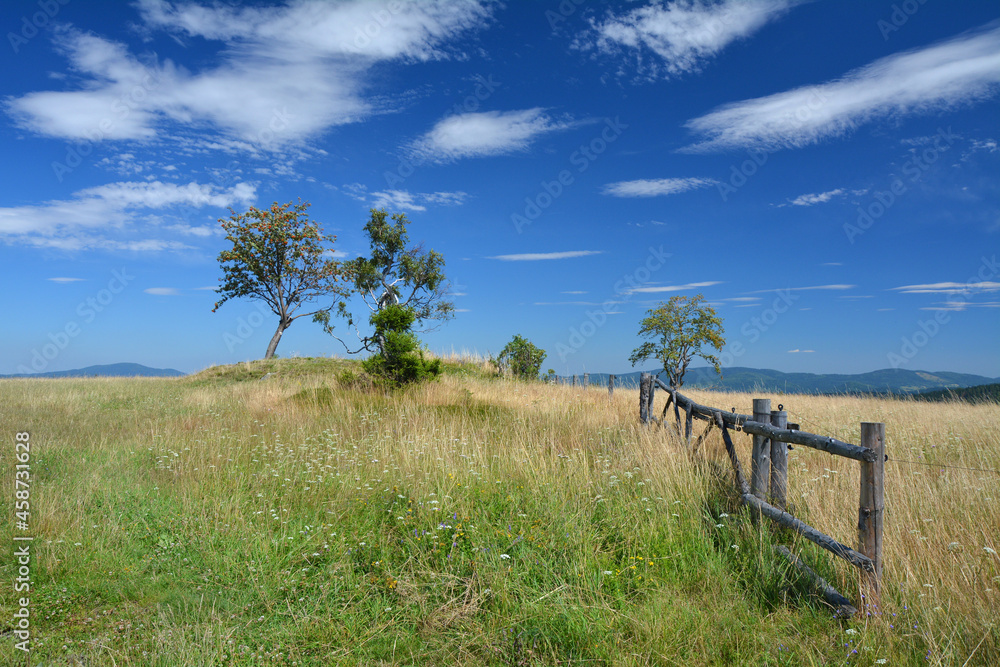 Fototapeta premium Landscape in the mountains in Poland
