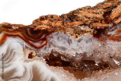 Macro mineral stone agate kidney gerbera on white background close up