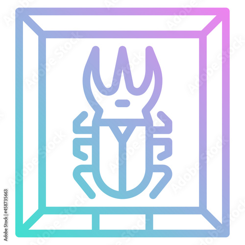 insect