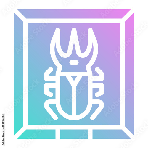 insect