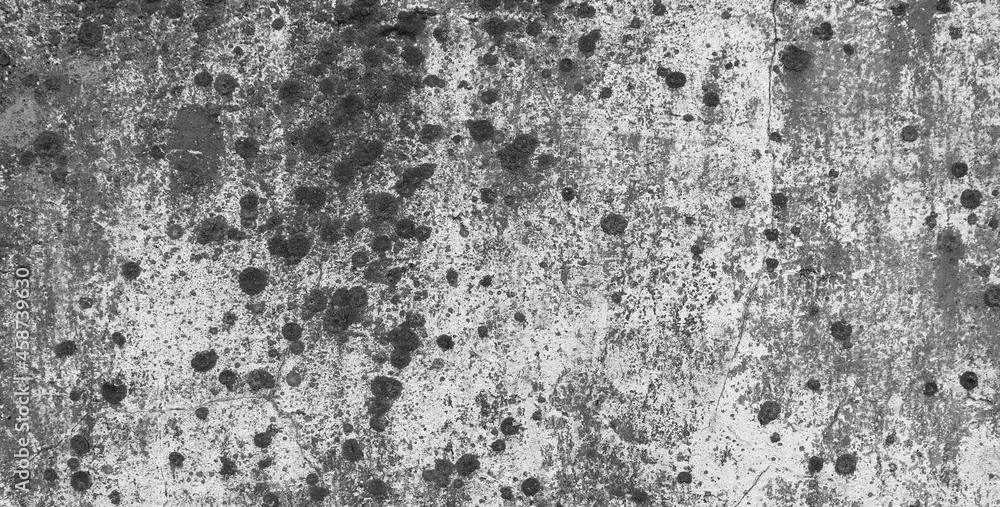 Fototapeta premium Old dark concrete slab texture with moss