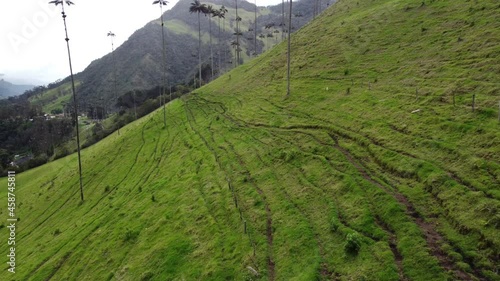 Video shoot with Salento -  Colombia