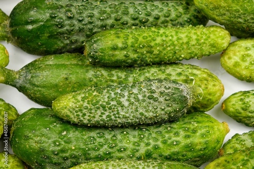 Small fresh cucumbers gherkins lie in rows on a white table  background