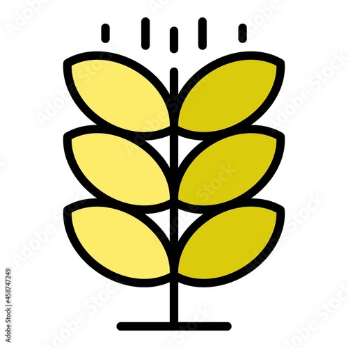 Wheat plant icon. Outline wheat plant vector icon color flat isolated