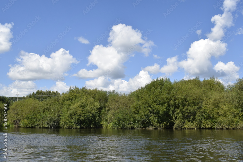 green trees and blue sky with clouds