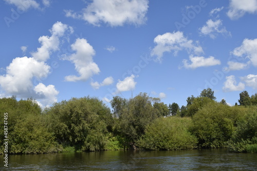 green trees and blue sky with clouds