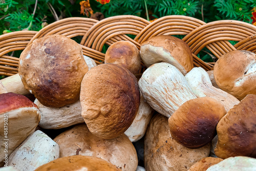 Mushrooms. Full basket with mushrooms close-up. mushroom-kicking