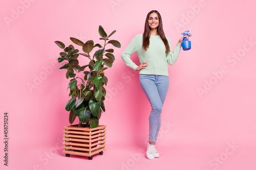 Full size photo of funny millennial brunette lady with plant wear pullover jeans sneakers isolated on pink background