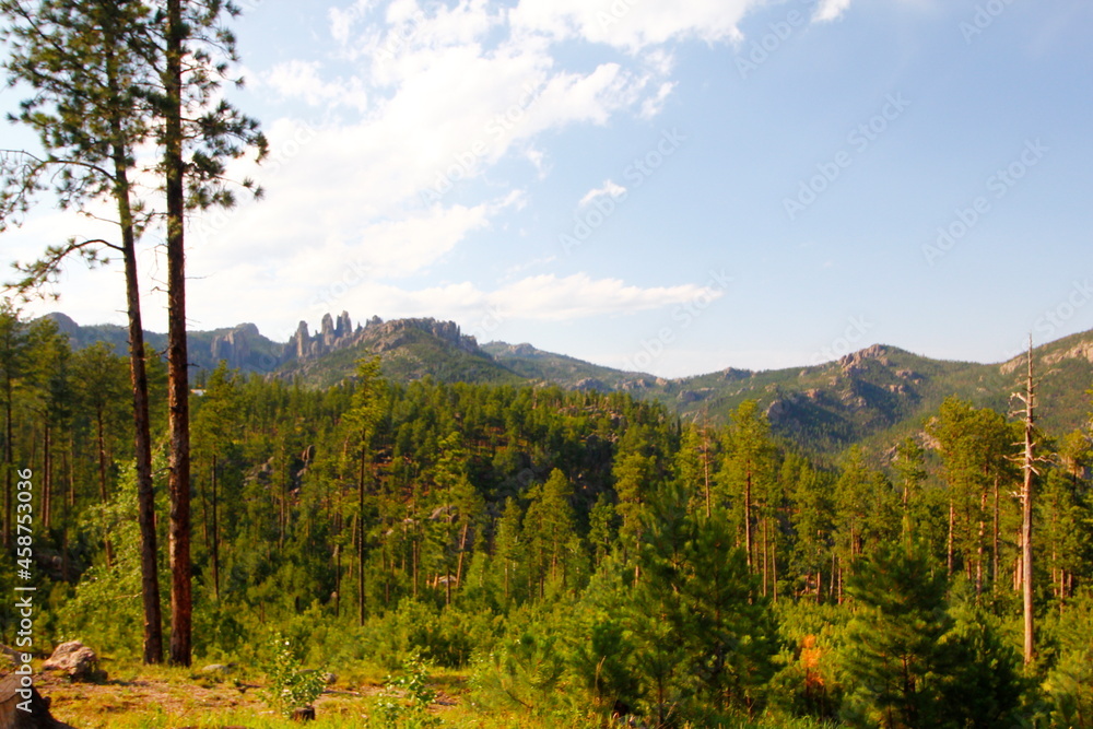 Views from the Needles Highway in Summer, South Dakota Views from the Needles Highway in Summer, South Dakota