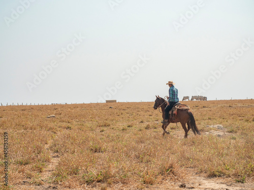 Cowboy is riding his horse on a cattle farm with very dry land © jespersoehof