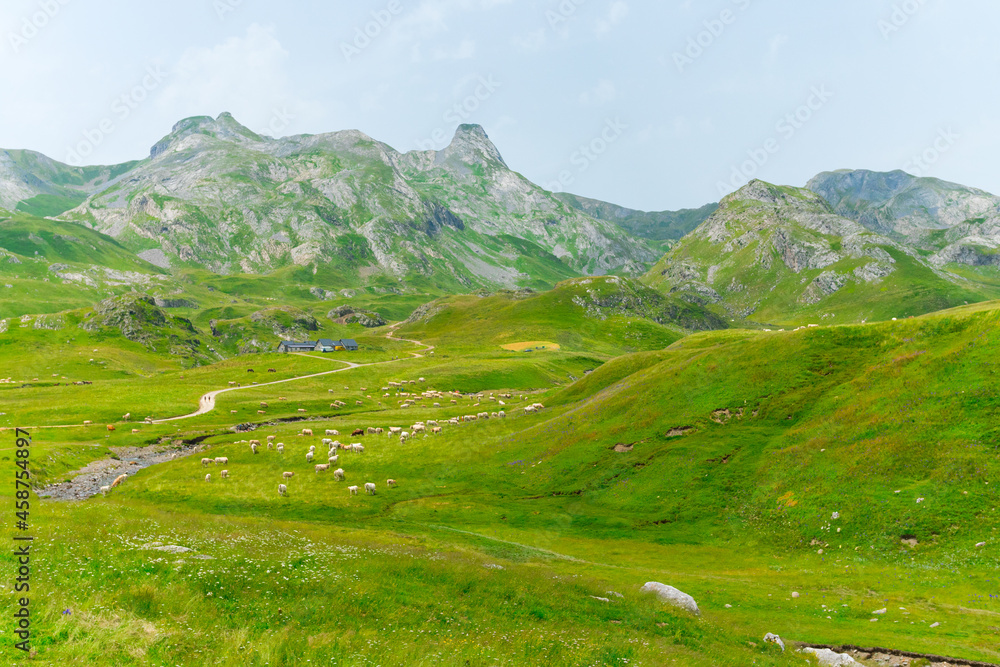 Col du Pourtalet Pass And Border In The Pyrenees Between France And Spain With Distant View Of Sheep Herd Grazing On Green Pasture. wide shot