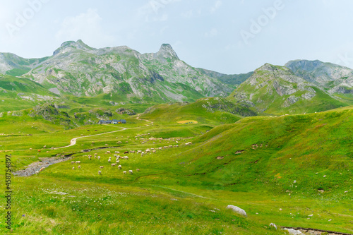 Col du Pourtalet Pass And Border In The Pyrenees Between France And Spain With Distant View Of Sheep Herd Grazing On Green Pasture. wide shot