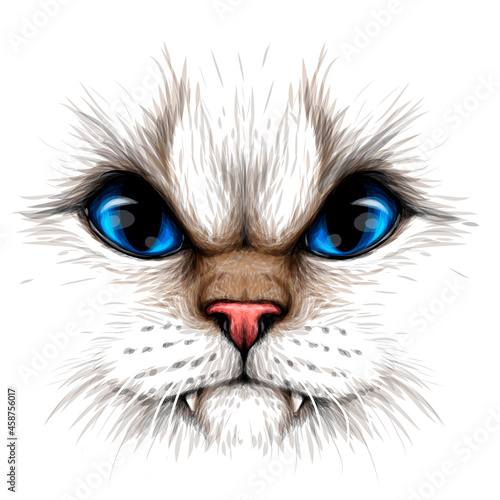 Cat. Creative design. Color portrait of a angry cat with blue eyes close-up on a white background. Digital vector graphics