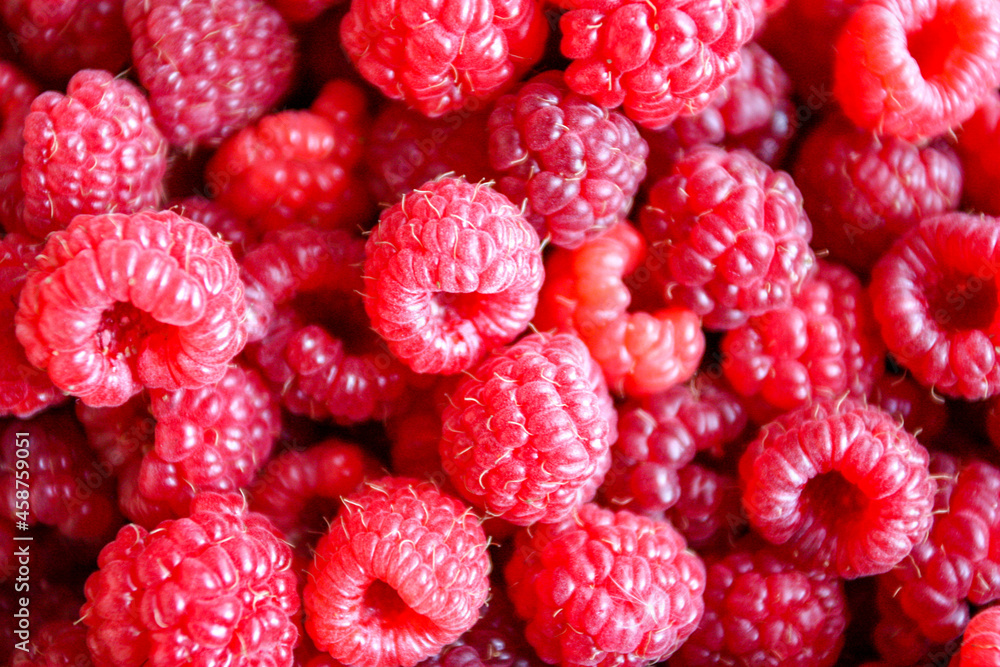 Fresh raspberry closeup backround Fresh raspberry closeup backround