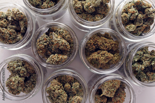 Tapet Cannabis drying and curing