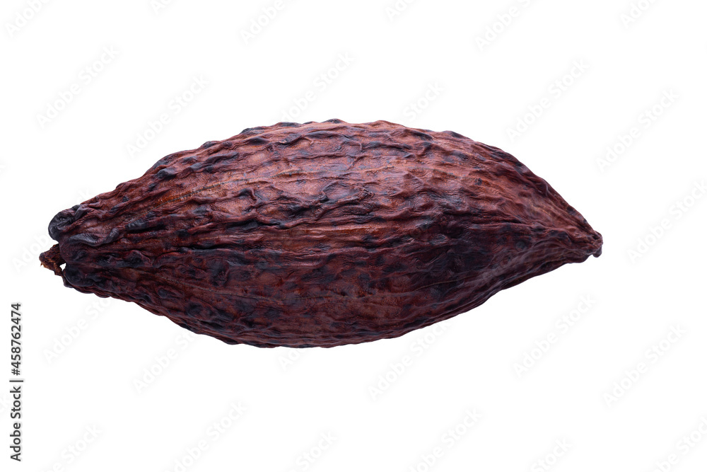Cocoa pod and beans isolated on a white background.