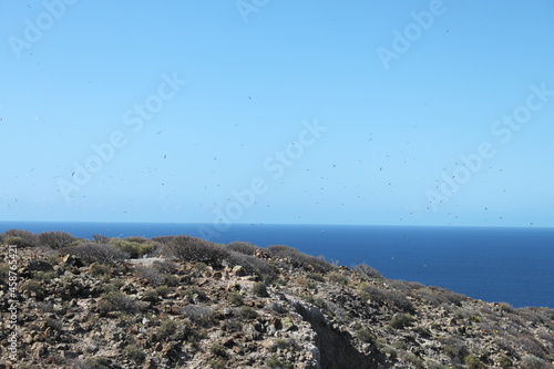 los cristianos guaza mountain photo