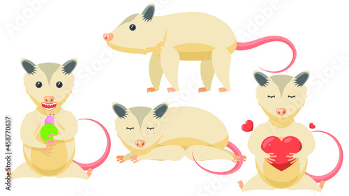 Set Abstract Collection Flat Cartoon Different Animal Opossum Sleep, Stand, Eating A Snail, Hugs The Heart Vector Design Style Elements Fauna Wildlife