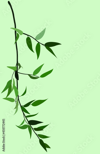 Drawing of a branch with green leaves. Vector flat hand-drawn illustration. Minimalistic design for cards, templates, backgrounds, avatars, posters, textiles, menus.