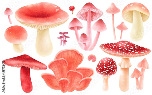 Pink coloured Mushroom elements illustration watercolor style collection