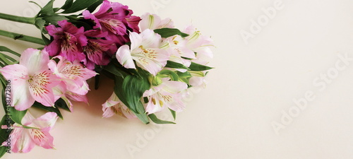 Alstroemeria flowers bouquet on beige background top view with copy space. Banner. Pink flowers background.