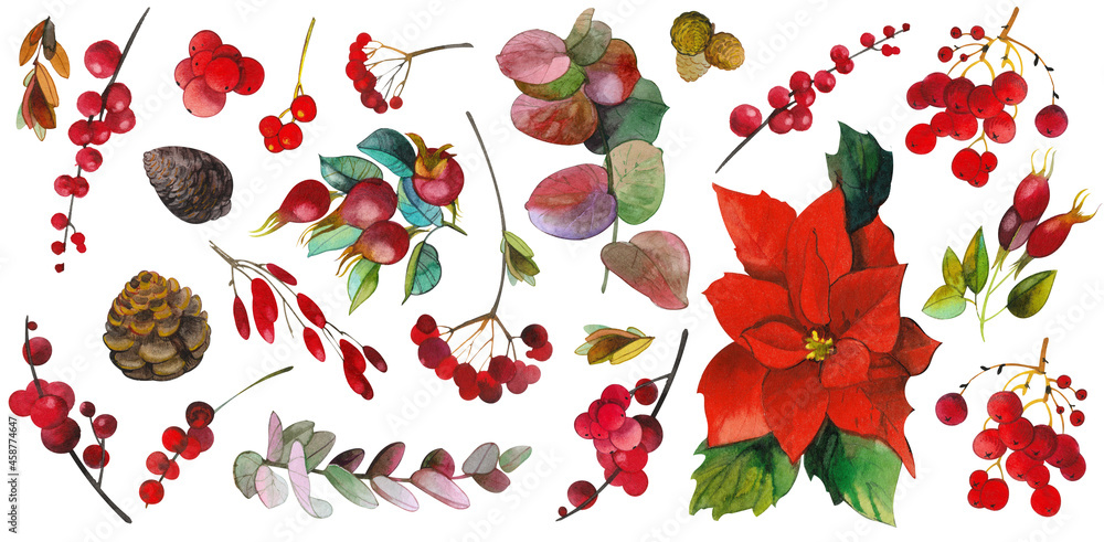 A set of watercolor elements isolated on a white background: cones, branches, branches of a Christmas tree, berries, wild rose. Christmas bright, for creating winter holiday designs patterns, designs A set of watercolor elements isolated on a white background: cones, branches, branches of a Christmas tree, berries, wild rose. Christmas bright, for creating winter holiday designs patterns, designs