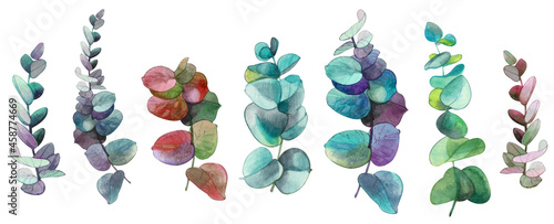 Set of watercolor branches of eucalyptus  isolated on white background. To create decor, prints, patterns, design publications on eco-related topics.