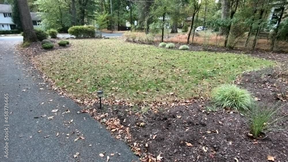 front yard covered with leaves in the fall in North America front yard covered with leaves in the fall in North America