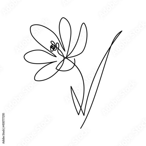 Spring crocus flower in continuous line art drawing style. Minimalist black linear sketch isolated on white background. Vector illustration