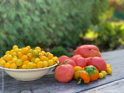 Multi-colored ripe tomatoes on a wooden background. Vegetarian concept. Cocktail tomatoes.