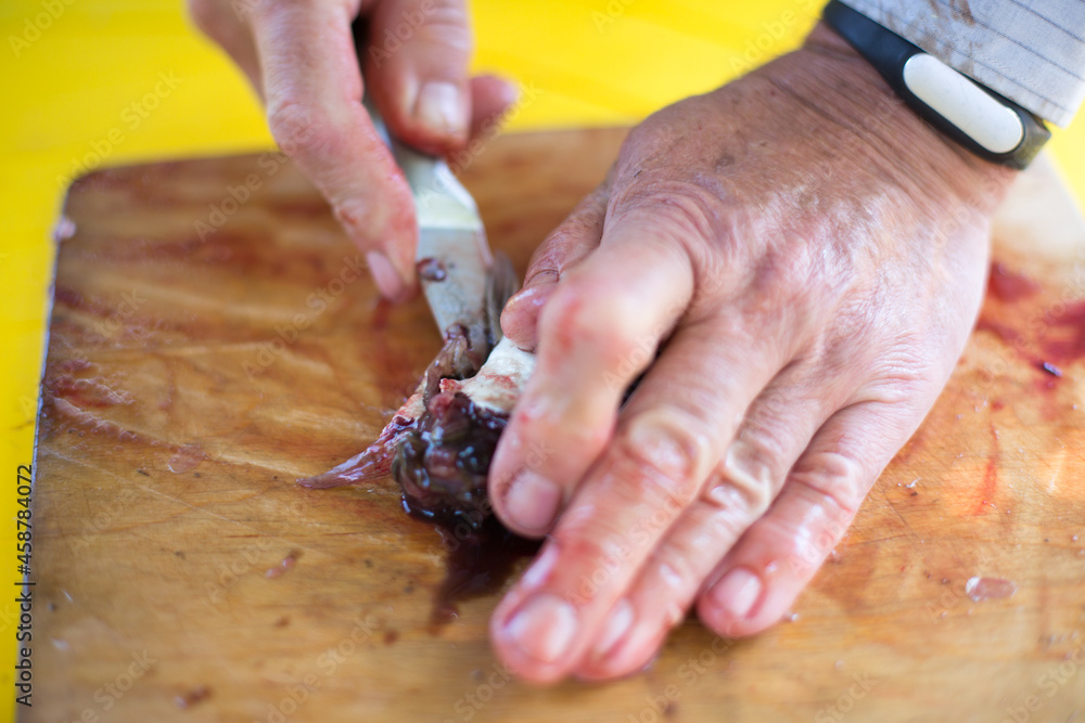 man's hands are cleaning from scales and cutting with knife a fresh fish on the table